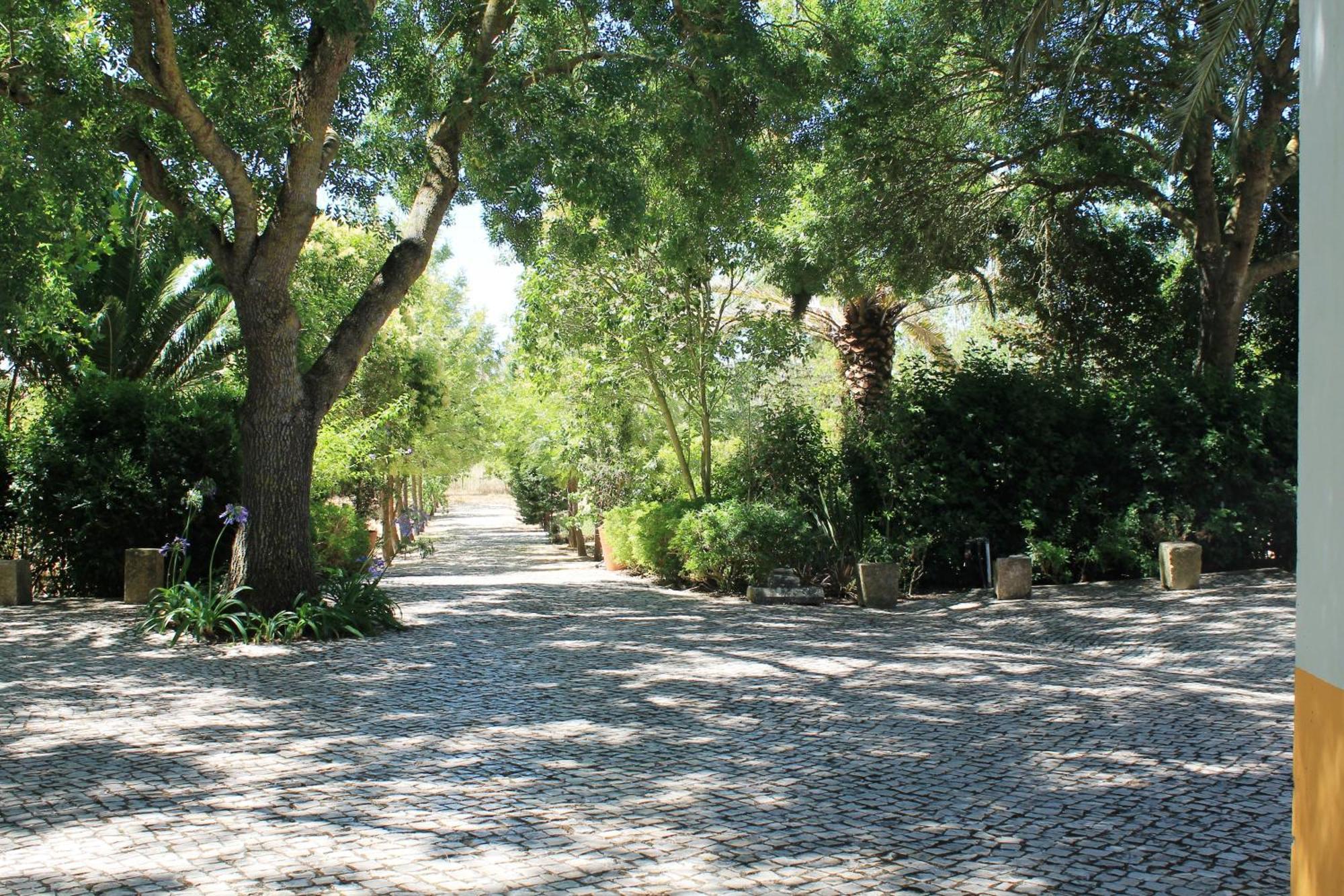 Villa Quinta Do Casal De Santo Antonio Alenquer Exterior foto